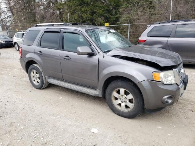 2010 Ford Escape Limited