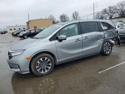 Salvage cars for sale at Moraine, OH auction: 2024 Honda Odyssey EXL