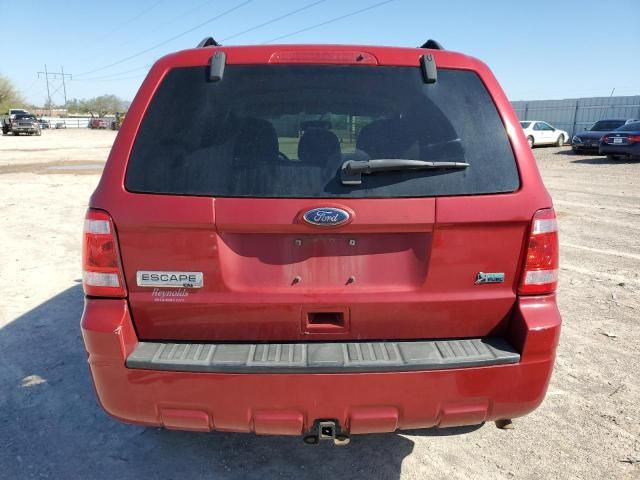 2010 Ford Escape XLT