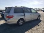 2007 Honda Odyssey EXL