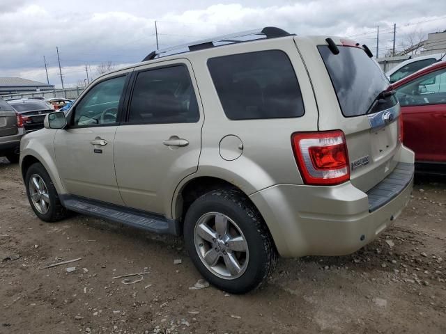 2011 Ford Escape Limited