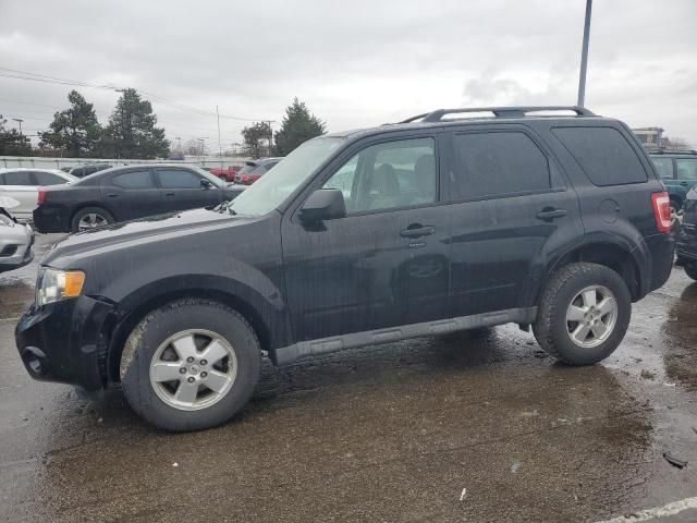 2011 Ford Escape XLT