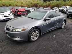 Honda Accord exl salvage cars for sale: 2008 Honda Accord EXL