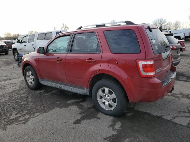 2011 Ford Escape Limited