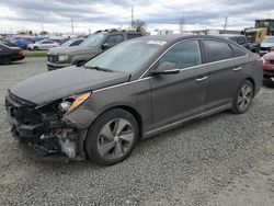 Hyundai Sonata salvage cars for sale: 2017 Hyundai Sonata PLUG-IN Hybrid