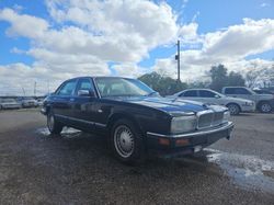 Salvage cars for sale from Copart Tucson, AZ: 1991 Jaguar XJ6 Sovereign