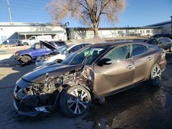Salvage cars for sale from Copart Albuquerque, NM: 2016 Nissan Maxima 3.5S