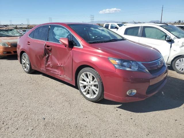 2010 Lexus HS 250H