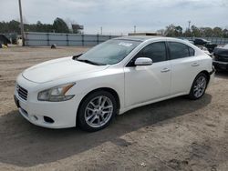 Salvage cars for sale from Copart Newton, AL: 2011 Nissan Maxima S