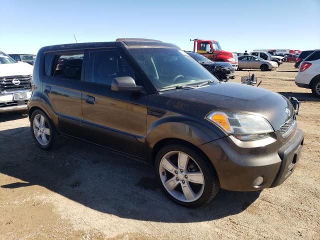 2010 KIA Soul +