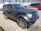 2010 Dodge Nitro Heat