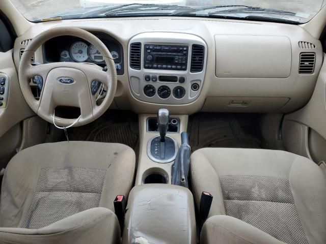 2007 Ford Escape XLT