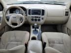 2007 Ford Escape XLT