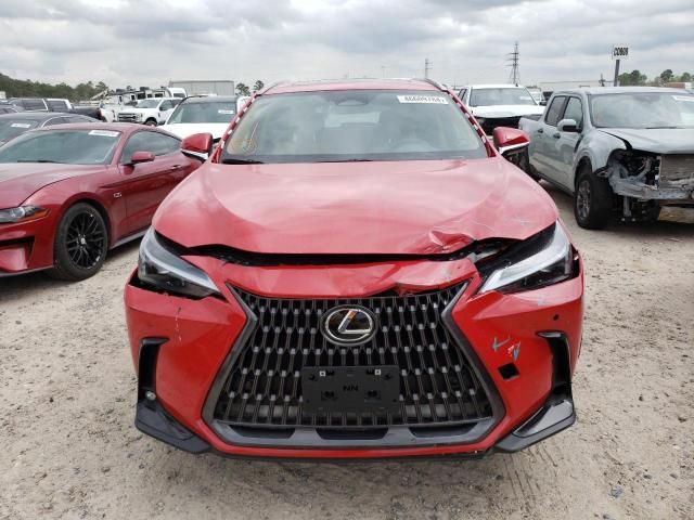 2024 Lexus NX 250 Premium