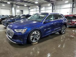 Salvage cars for sale at Ham Lake, MN auction: 2021 Audi E-TRON Premium