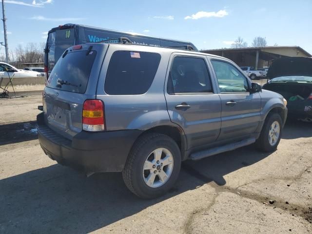 2007 Ford Escape XLT