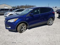 Vehiculos salvage en venta de Copart Lawrenceburg, KY: 2014 Ford Escape SE