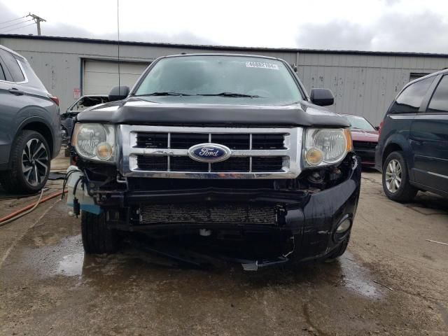 2010 Ford Escape XLT