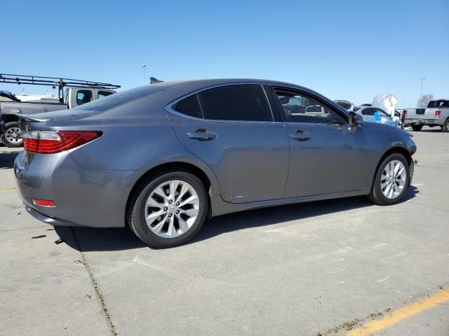 2014 Lexus ES 300H