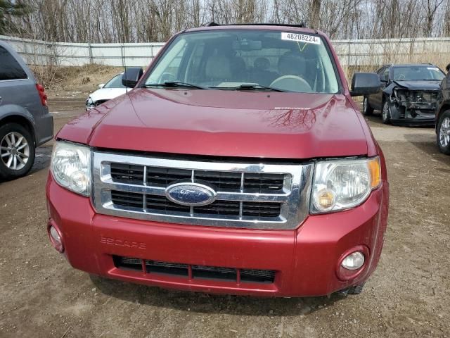 2008 Ford Escape XLT