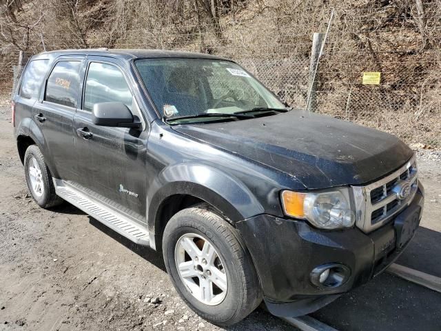 2011 Ford Escape Hybrid