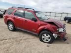 2008 Ford Escape XLT