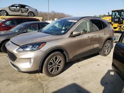 Salvage cars for sale at Windsor, NJ auction: 2020 Ford Escape SEL