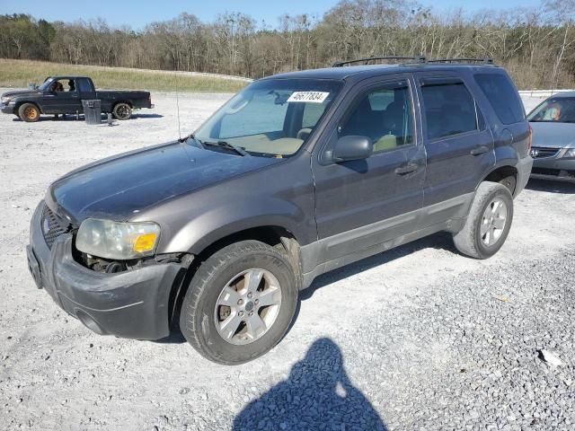 2006 Ford Escape XLT