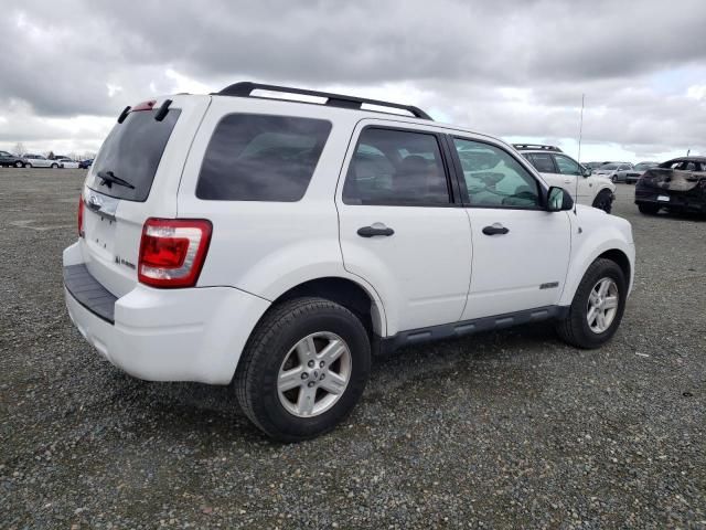 2008 Ford Escape HEV