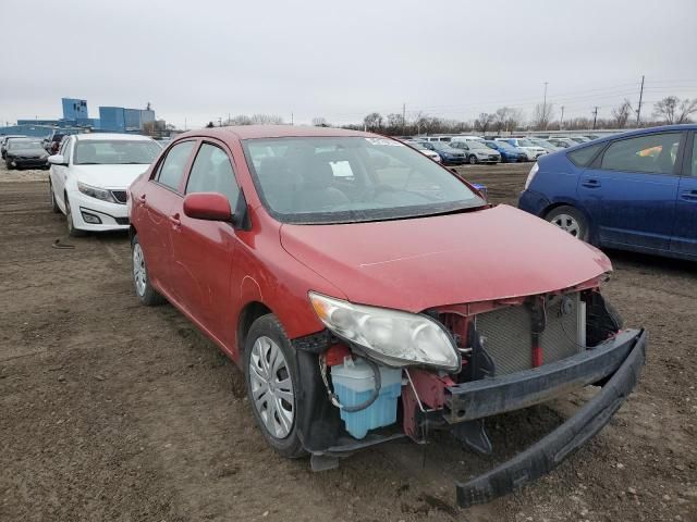 2010 Toyota Corolla Base