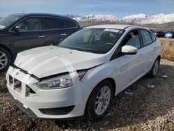 Ford salvage cars for sale: 2017 Ford Focus SE