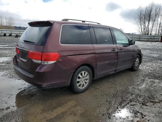 2008 Honda Odyssey EXL