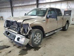 Ford f150 Supercrew Vehiculos salvage en venta: 2014 Ford F150 Supercrew