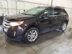 Salvage cars for sale from Copart Avon, MN: 2013 Ford Edge Limited