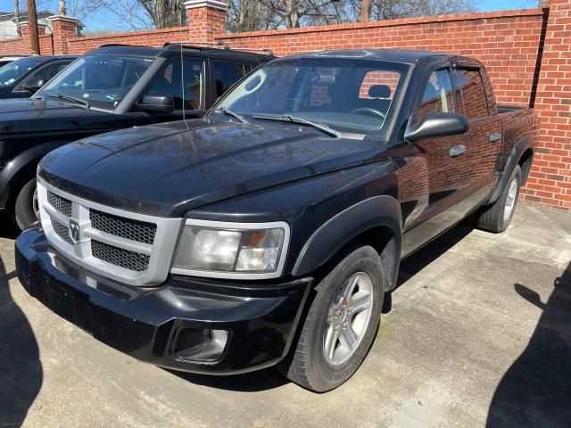 2011 Dodge Dakota SLT