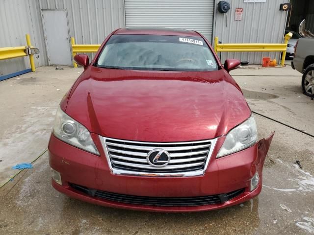 2010 Lexus ES 350