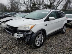 2013 Ford Escape SE for sale in Madisonville, TN