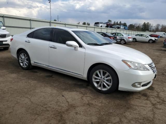 2010 Lexus ES 350