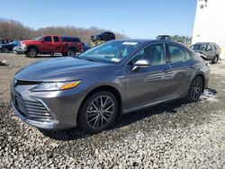 Toyota Camry XLE salvage cars for sale: 2021 Toyota Camry XLE