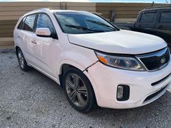 KIA Sorento SX salvage cars for sale: 2014 KIA Sorento SX