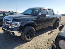 Vehiculos salvage en venta de Copart Earlington, KY: 2014 Ford F150 Supercrew