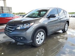 Salvage cars for sale from Copart West Palm Beach, FL: 2014 Honda CR-V EX