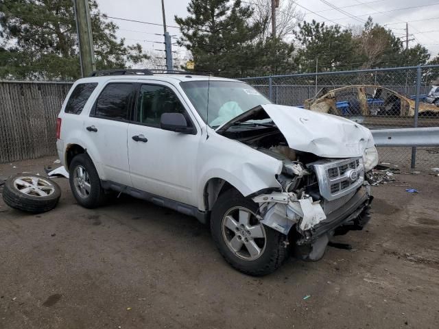 2011 Ford Escape XLT