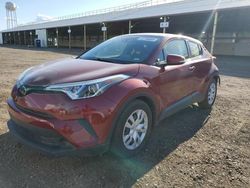 Salvage cars for sale at Phoenix, AZ auction: 2019 Toyota C-HR XLE