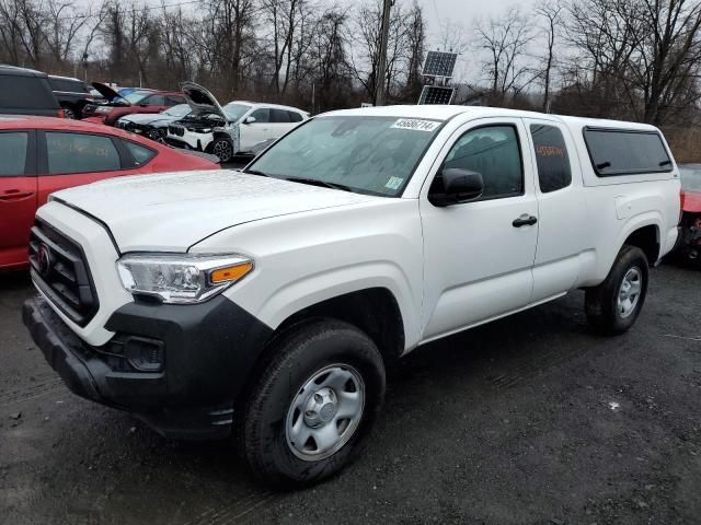 2023 Toyota Tacoma Access Cab