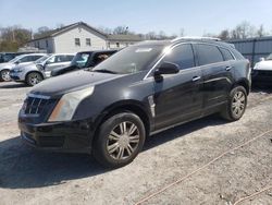 Salvage cars for sale at York Haven, PA auction: 2010 Cadillac SRX Luxury Collection