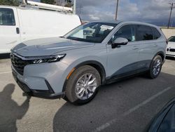 2024 Honda CR-V EXL en venta en Rancho Cucamonga, CA