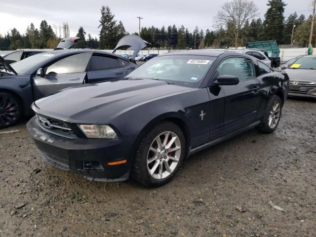 2010 Ford Mustang