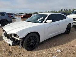 Dodge Charger salvage cars for sale: 2013 Dodge Charger SE