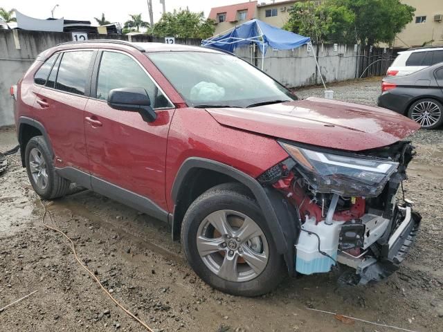 2024 Toyota Rav4 LE